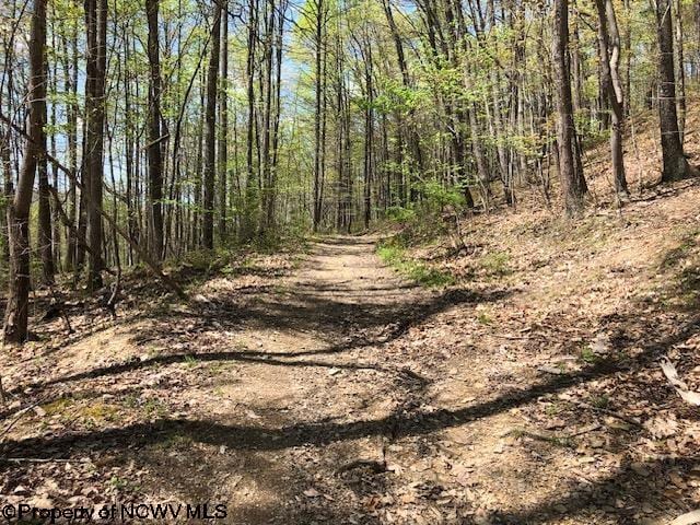 TBD Berry Patch Lane, Elkins WV, 26241 land for sale