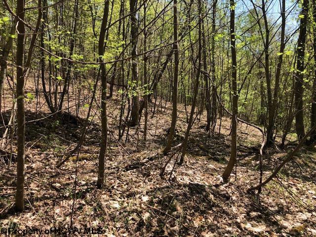 Listing photo 2 for TBD Berry Patch Lane, Elkins WV 26241