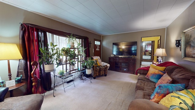 living room featuring carpet and crown molding