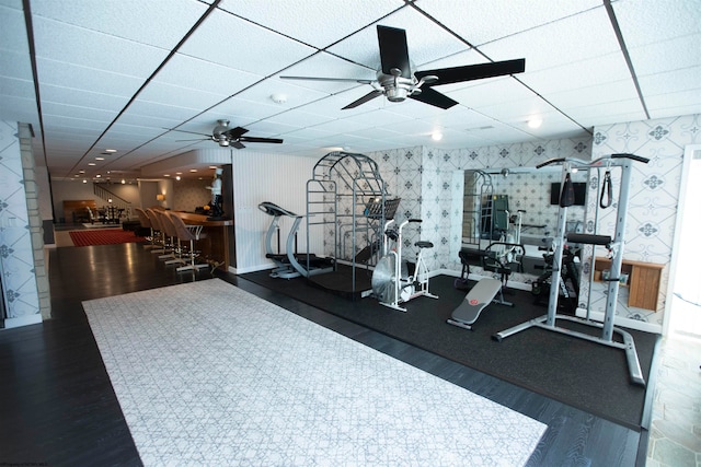 exercise room with ceiling fan, dark hardwood / wood-style flooring, and a paneled ceiling