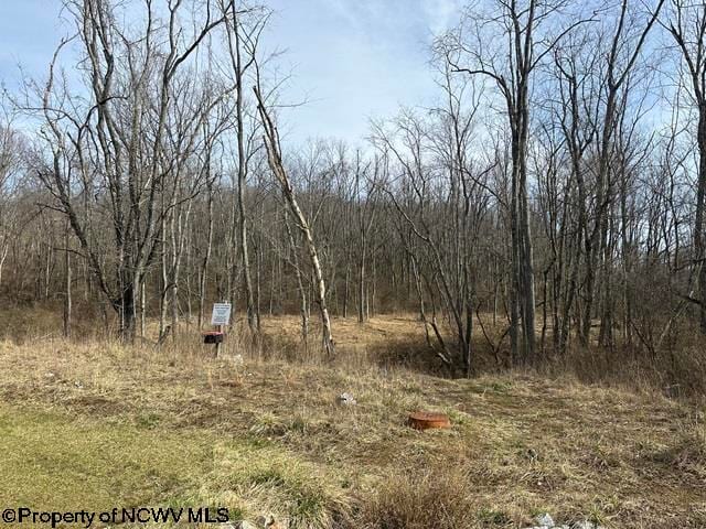 00 Stonehurst Dr, Morgantown WV, 26501 land for sale