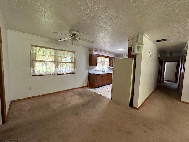 carpeted empty room with ceiling fan, sink, and a textured ceiling