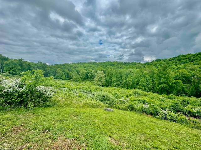 TBD Hopewell Rd, Fairmont WV, 26554 land for sale