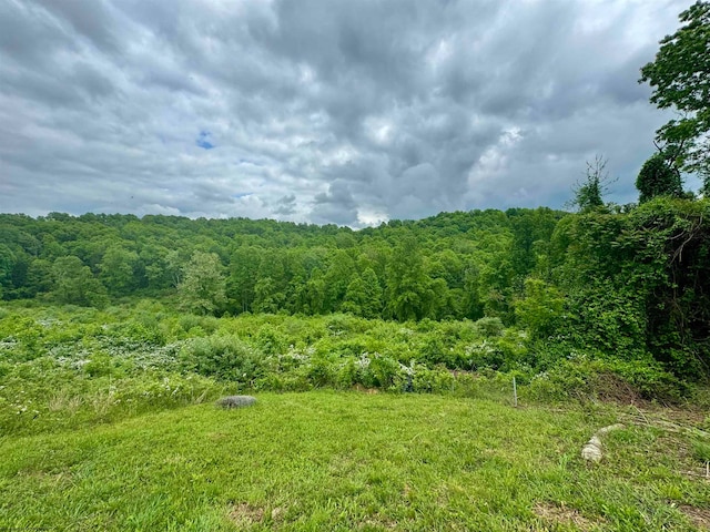 Listing photo 3 for TBD Hopewell Rd, Fairmont WV 26554