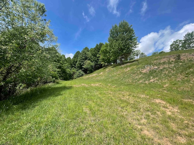 Listing photo 3 for TBD Jarrett Dr, Buckhannon WV 26201