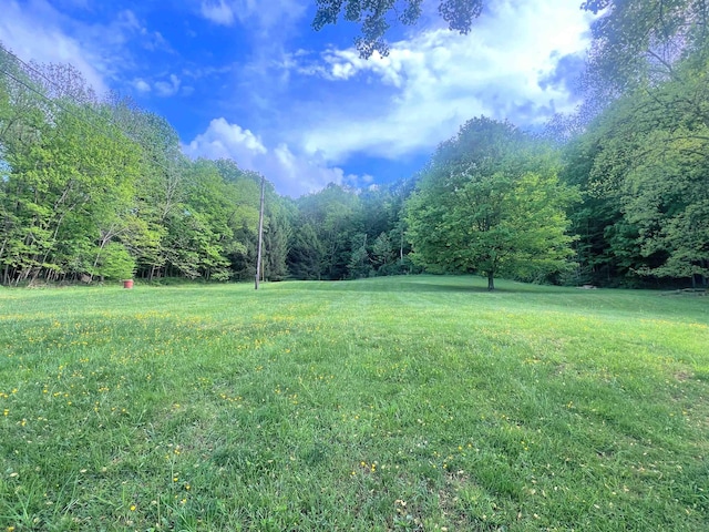 907 Boyce Rd, Grafton WV, 26354 land for sale