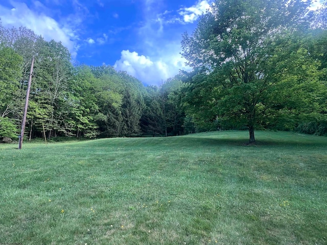 Listing photo 3 for 907 Boyce Rd, Grafton WV 26354