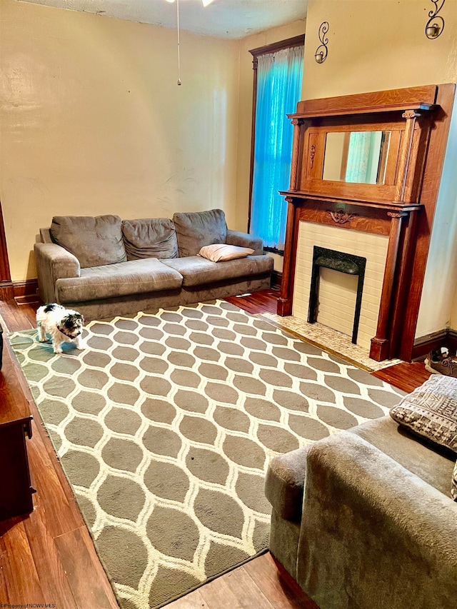 living room with wood-type flooring