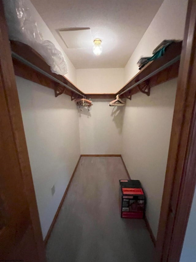 view of walk in closet