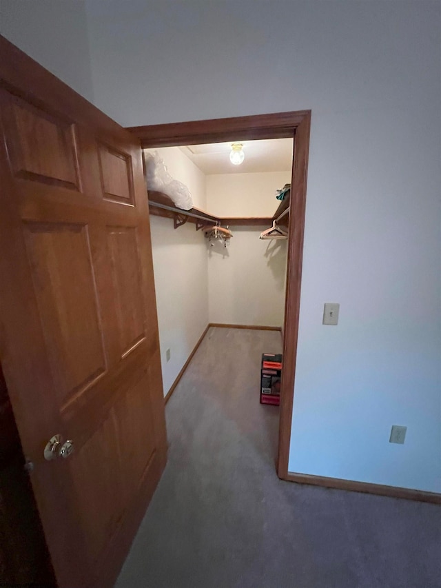 walk in closet with carpet flooring