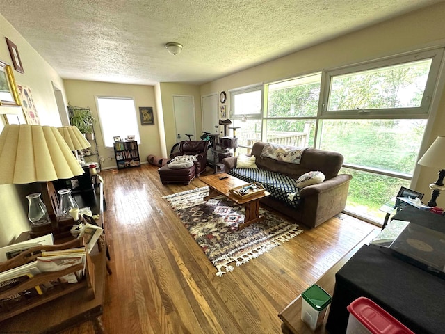 living room featuring a textured ceiling and wood-type flooring