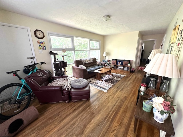 living room featuring hardwood / wood-style flooring and a textured ceiling