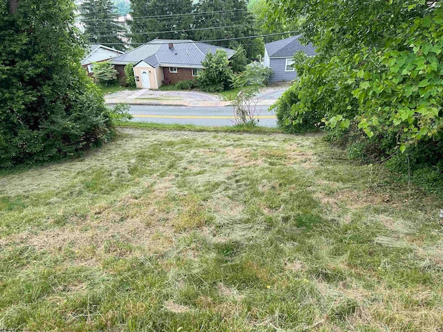 view of yard featuring a garage