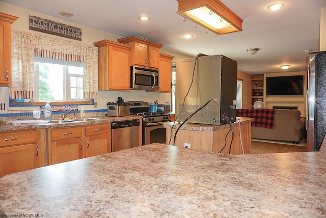 kitchen with wood-type flooring and stainless steel appliances