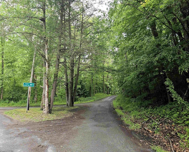 Listing photo 2 for TRACT5-TBD Sand Plant Rd, Independence WV 26374