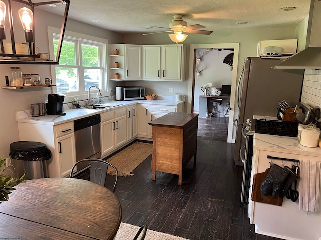 kitchen featuring ceiling fan, stainless steel appliances, dark hardwood / wood-style flooring, sink, and white cabinets