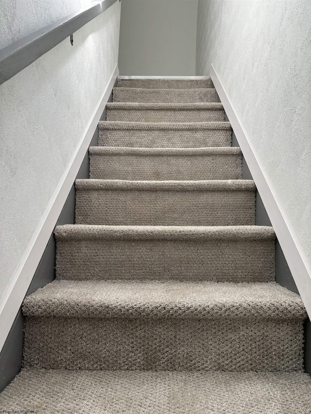 stairway featuring carpet