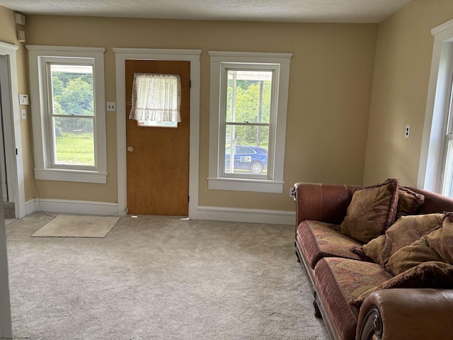 interior space featuring a wealth of natural light, light colored carpet, and a textured ceiling