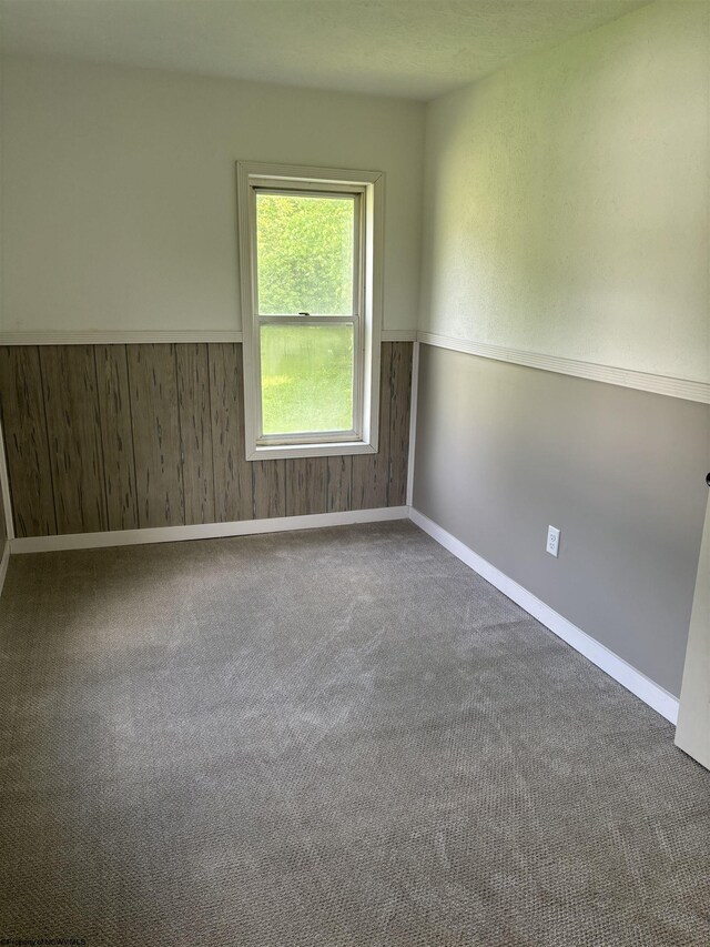 carpeted spare room featuring wood walls and a textured ceiling