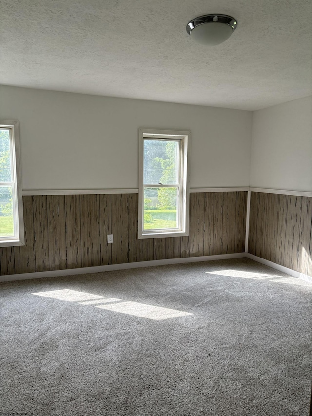 spare room featuring carpet, a textured ceiling, and wood walls