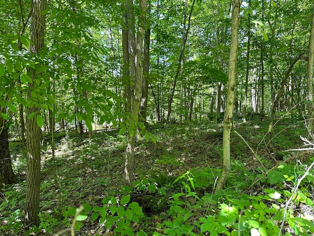 LOT23 Fairfax Pines Dr, Reedsville WV, 26547 land for sale