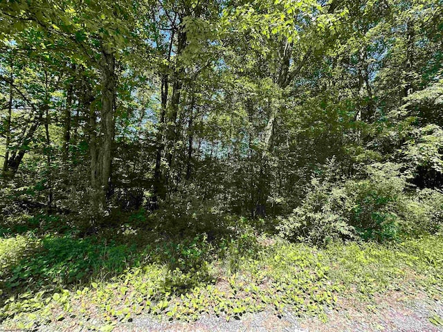 Listing photo 2 for LOT23 Fairfax Pines Dr, Reedsville WV 26547