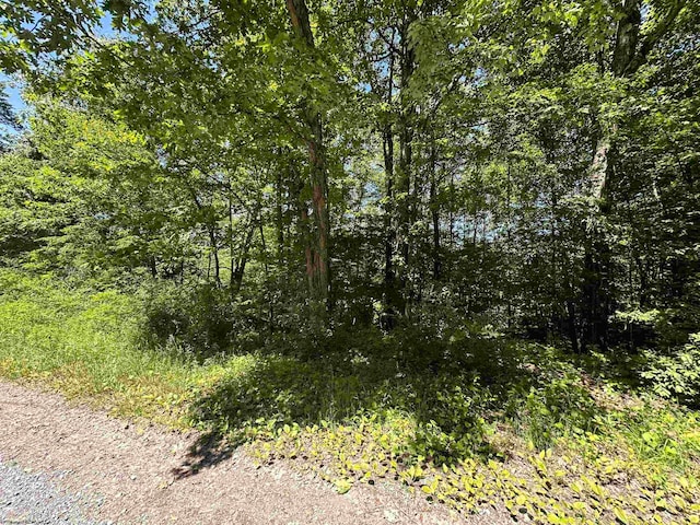 Listing photo 3 for LOT23 Fairfax Pines Dr, Reedsville WV 26547