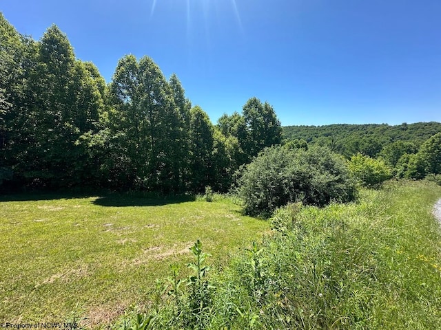 LOT22 Pine Cir, Reedsville WV, 26547 land for sale