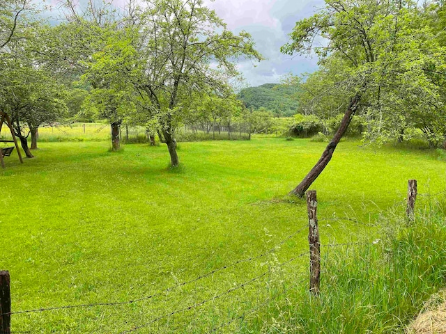 view of yard featuring a rural view