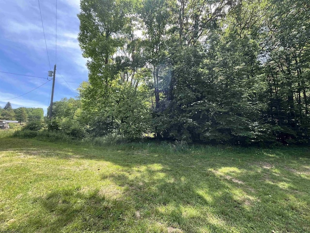 3485 Adolph Rd, Mill Creek, WV 26280 - view of green lawn