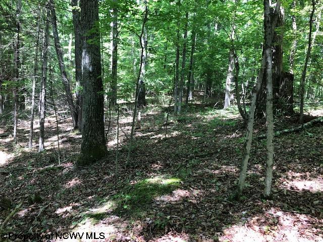 TBD Harpertown Rd, Elkins WV, 26241 land for sale