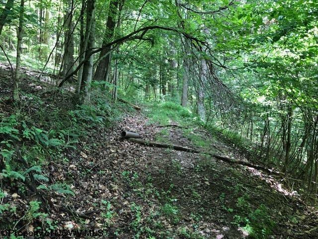 Listing photo 2 for TBD Harpertown Rd, Elkins WV 26241