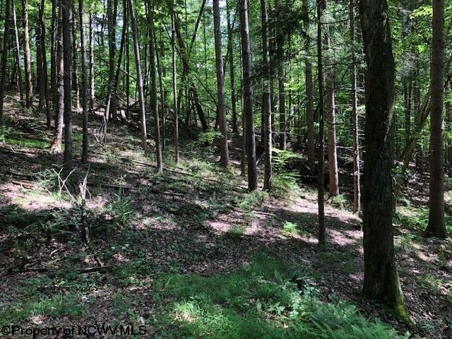 Listing photo 3 for TBD Harpertown Rd, Elkins WV 26241