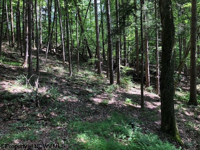 TBD Harpertown Rd, Elkins, WV 26241