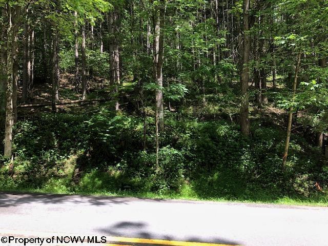 TBD Harpertown Rd, Elkins, WV 26241