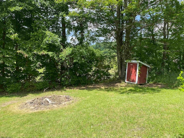 view of yard with a storage unit