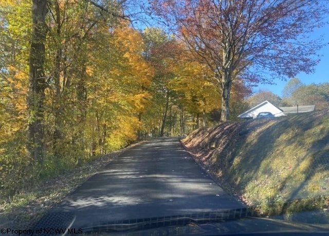 view of road