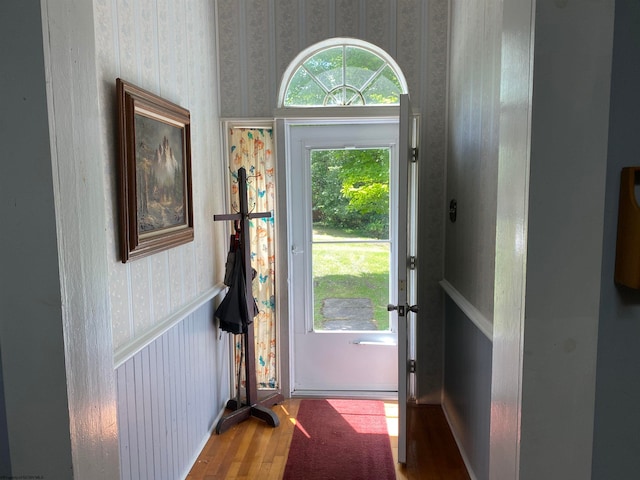 entryway featuring wood-type flooring