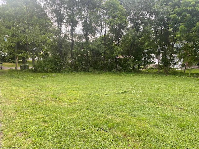 109 Knapp St, Elkins WV, 26241 land for sale