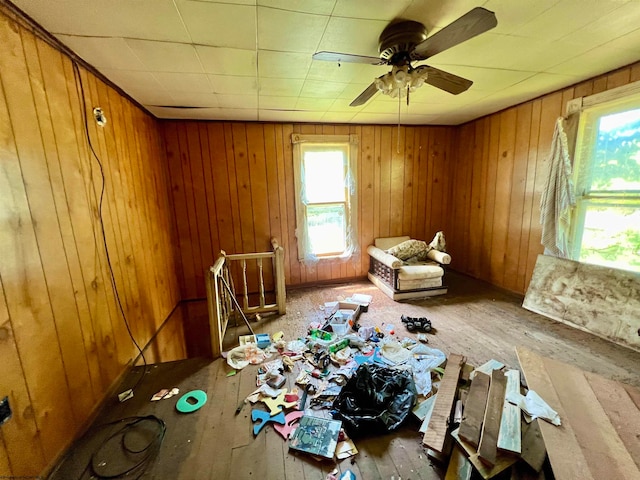 miscellaneous room with a wealth of natural light, wood-type flooring, and wooden walls