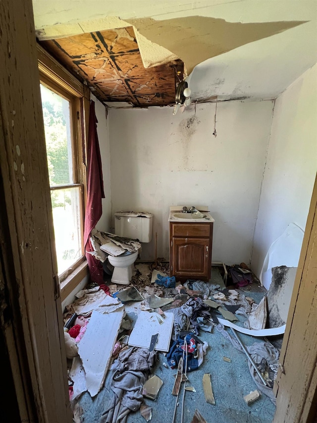 bathroom with plenty of natural light and toilet