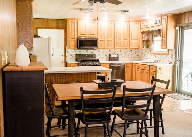 kitchen with appliances with stainless steel finishes, sink, a healthy amount of sunlight, and a breakfast bar area