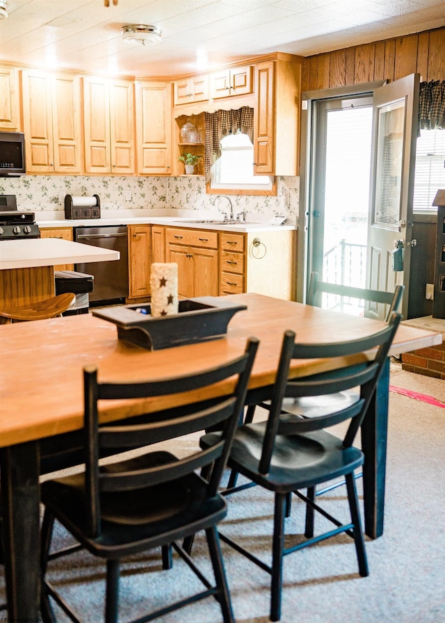 kitchen featuring appliances with stainless steel finishes, light brown cabinets, and sink