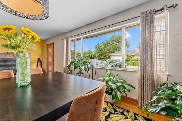 dining room with hardwood / wood-style floors