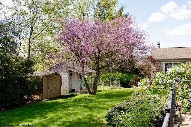 view of yard featuring a storage unit