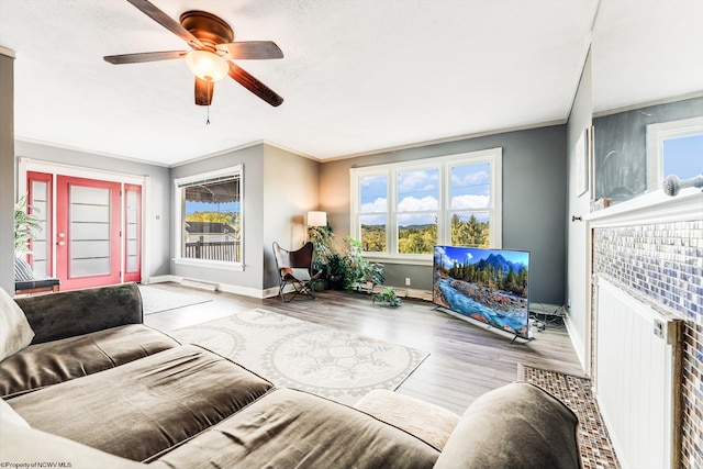 living room featuring crown molding, radiator heating unit, a fireplace, and hardwood / wood-style floors