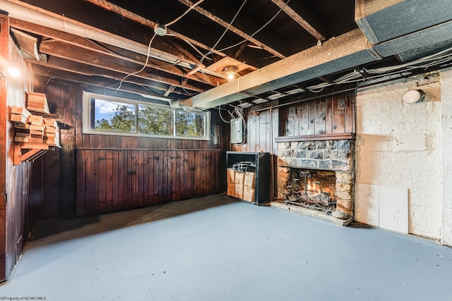 basement with wooden walls