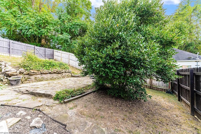 view of yard with a patio area