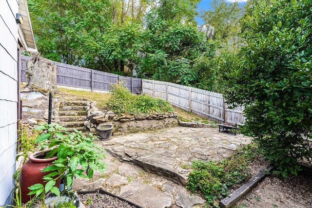 view of yard featuring a patio