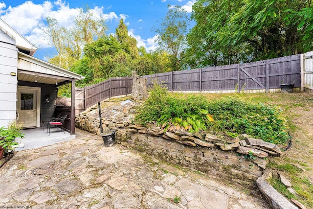 view of yard featuring a patio area